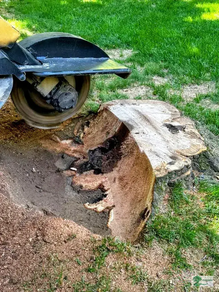 Woodchipper Storm Cleanup